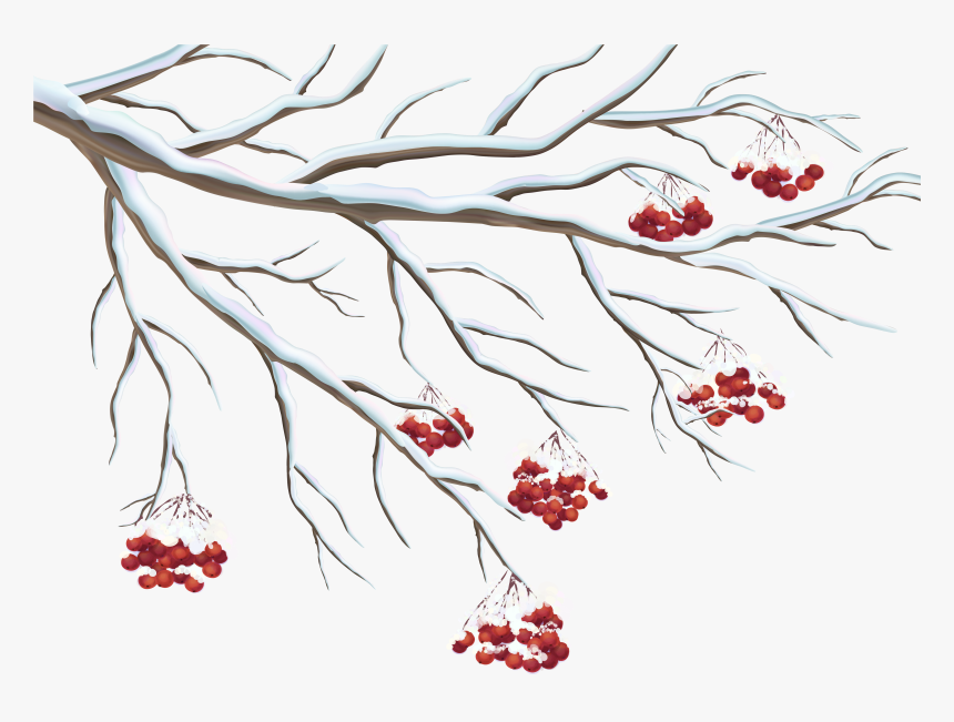 Snowy Berries Png Gallery - Winter Clip Art Transparent Background, Png Download, Free Download