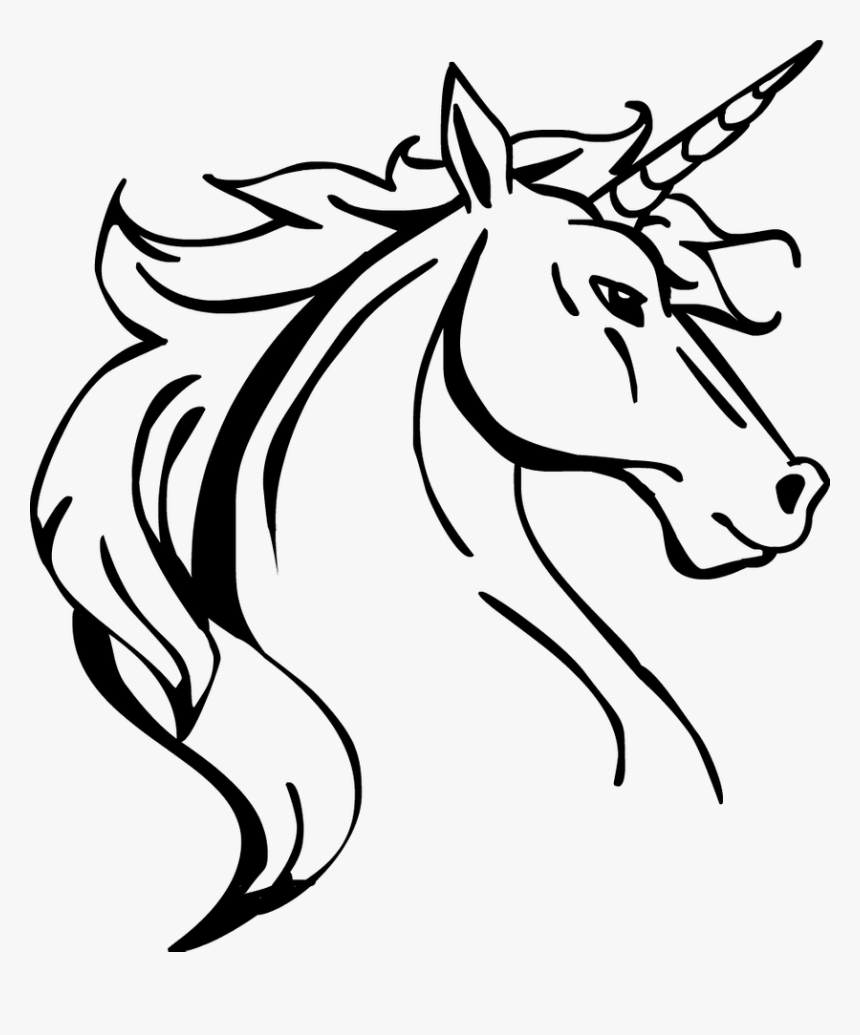 Unicorn Head Lineart Black And White - Unicorn Head Line Drawing, HD Png Download, Free Download