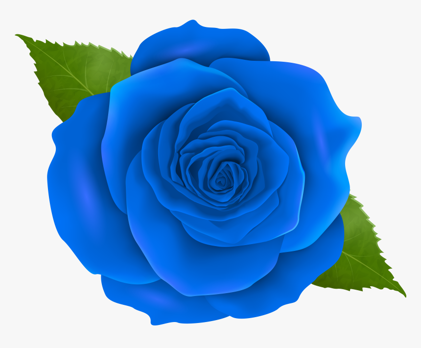 China-rose, HD Png Download, Free Download