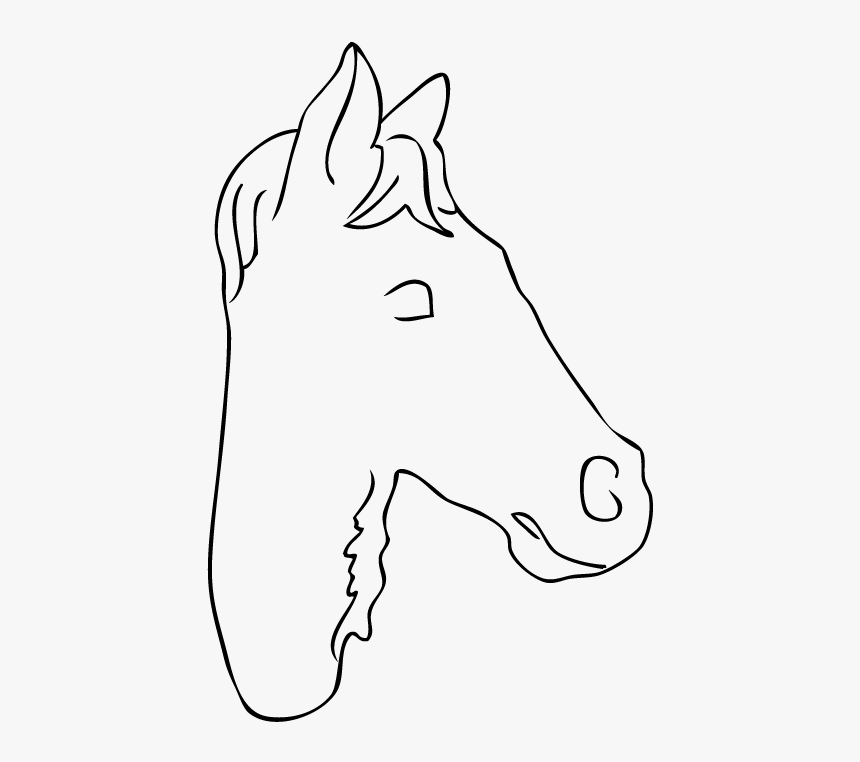 Unicorn Head Side View Without Horn, Assembling Wft - Line Art, HD Png Download, Free Download