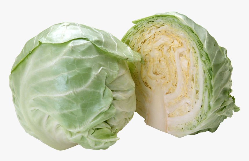 Cabbage Png, Transparent Png, Free Download