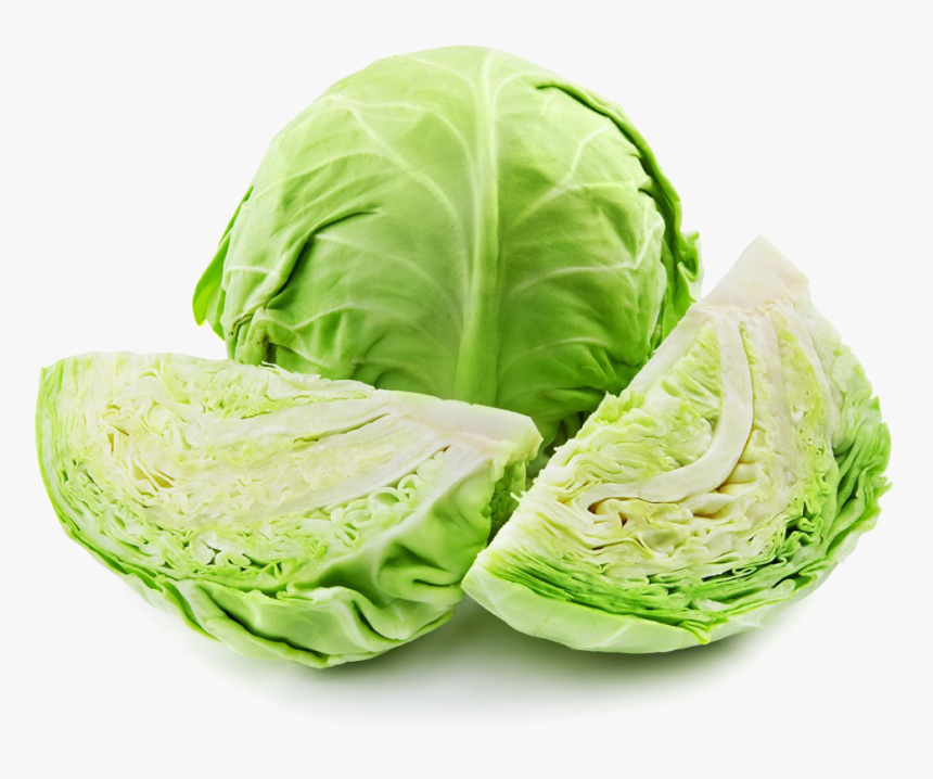 Transparent Cabbage Png - Cabbage Png, Png Download, Free Download