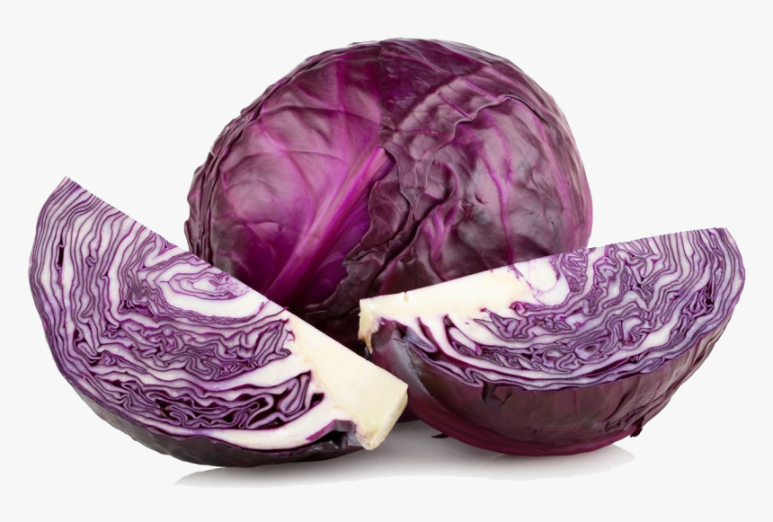 Purple Cabbage Png High-quality Image - Cabbage Red, Transparent Png, Free Download