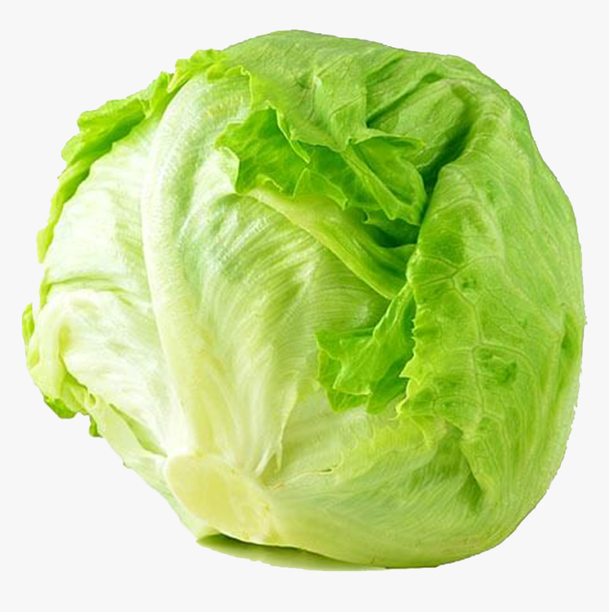 Cabbage - Iceberg Lettuce Png, Transparent Png, Free Download