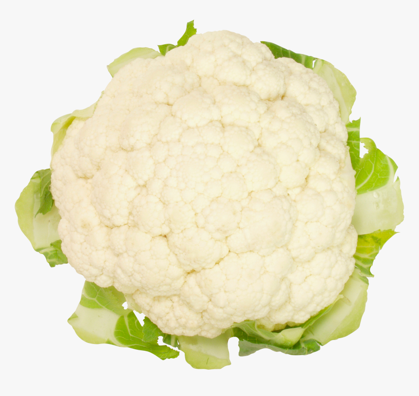 Cabbage Png Free Image Download - Cauliflower, Transparent Png, Free Download