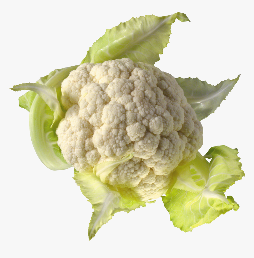 Download For Free Cabbage Transparent Png File - Cauliflower Cabbage Transparent, Png Download, Free Download