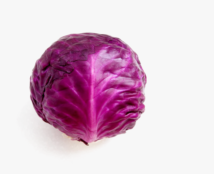 Purple Cabbage Png - 紫色 高麗 菜 營養, Transparent Png, Free Download