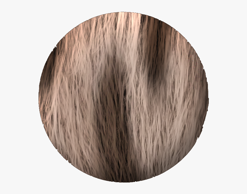 Hair Texture - Circle, HD Png Download, Free Download
