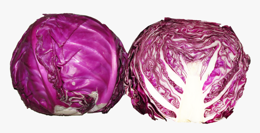 Vegetable, Red Cabbage, Food, Healthy, Cooking - Red Cabbage Png, Transparent Png, Free Download