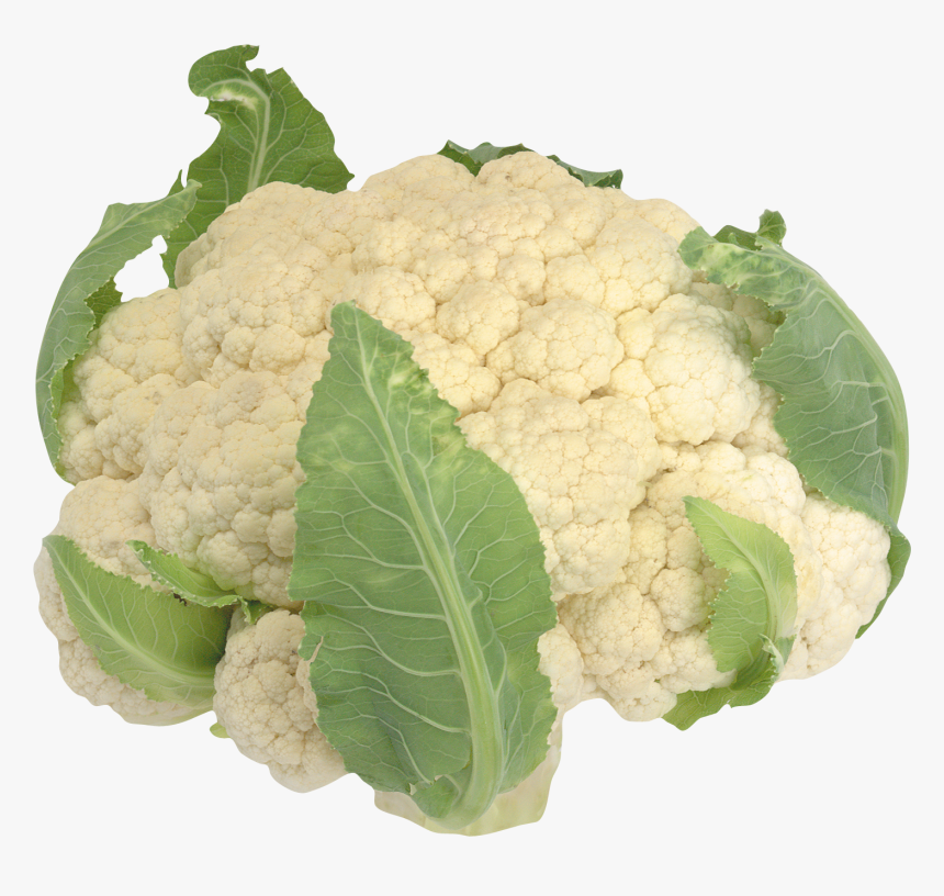 Transparent Cauliflower Clip Art, HD Png Download, Free Download