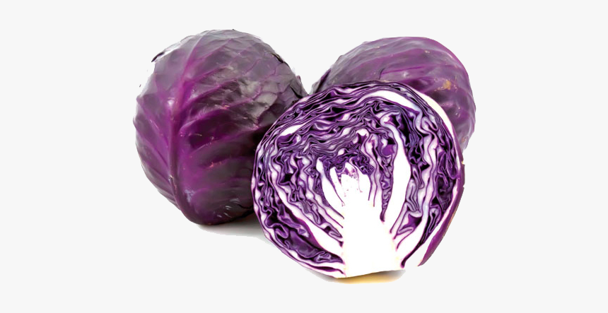 Purple Cabbage Transparent Image - Cải Bắp Tím, HD Png Download, Free Download