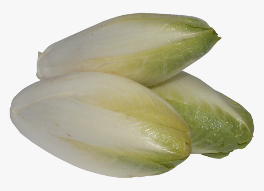 Chicory, A Vegetable, Foliage, Vegetables, Cabbage - Chicory Transparent, HD Png Download, Free Download