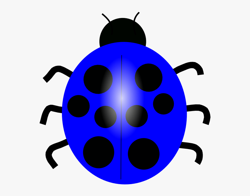 Dark Blue Ladybug Svg Clip Arts Blue Ladybug Clipart Hd Png Download Kindpng