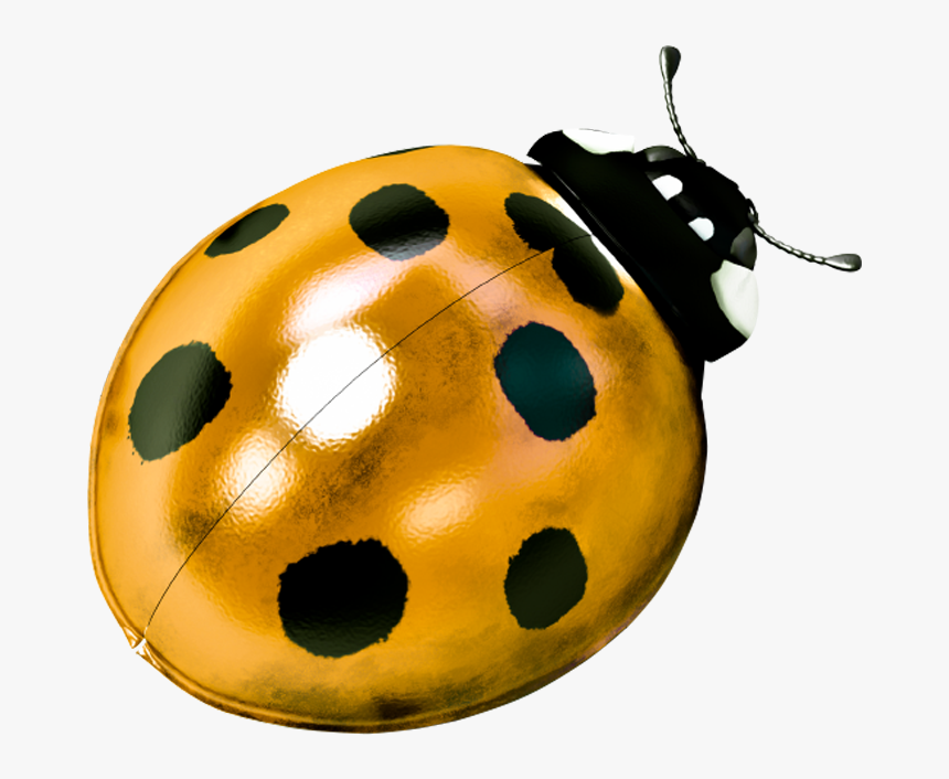 Ladybug, HD Png Download, Free Download