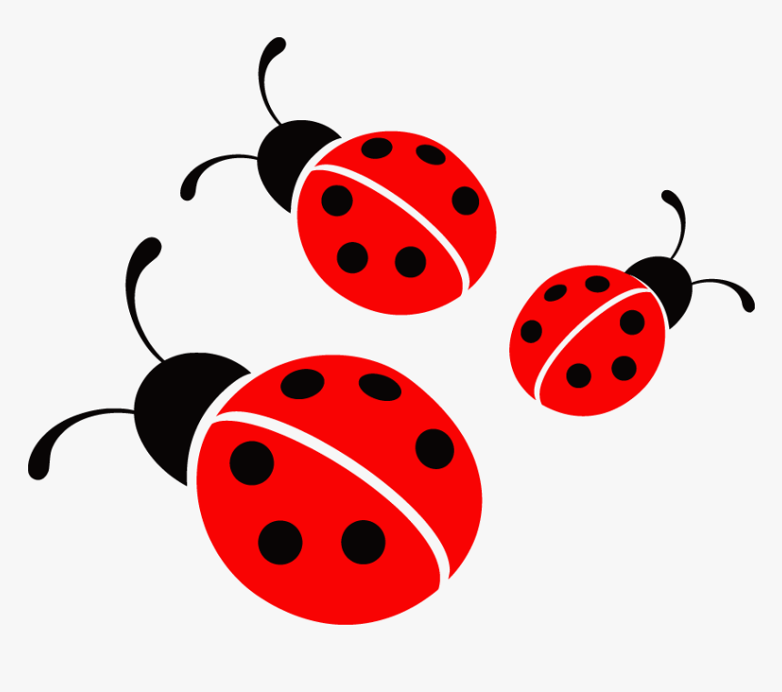 Ladybug Vector Image - Ladybug Png, Transparent Png, Free Download