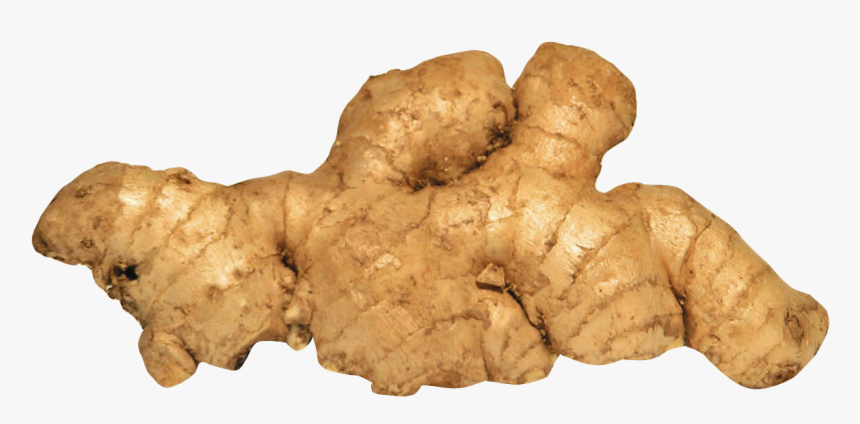 Ginger Png, Transparent Png, Free Download