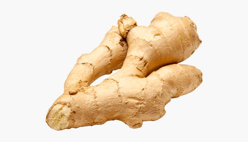 Ginger Png - Adrak, Transparent Png, Free Download