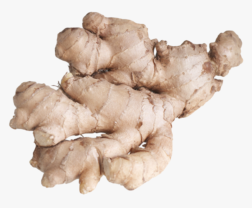 Ginger Root Png Image - Ginger Png, Transparent Png, Free Download