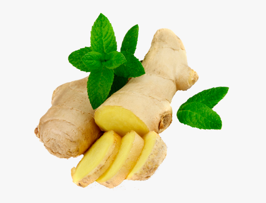 Now You Can Download Ginger Png Image Without Background - Transparent Background Ginger Png, Png Download, Free Download
