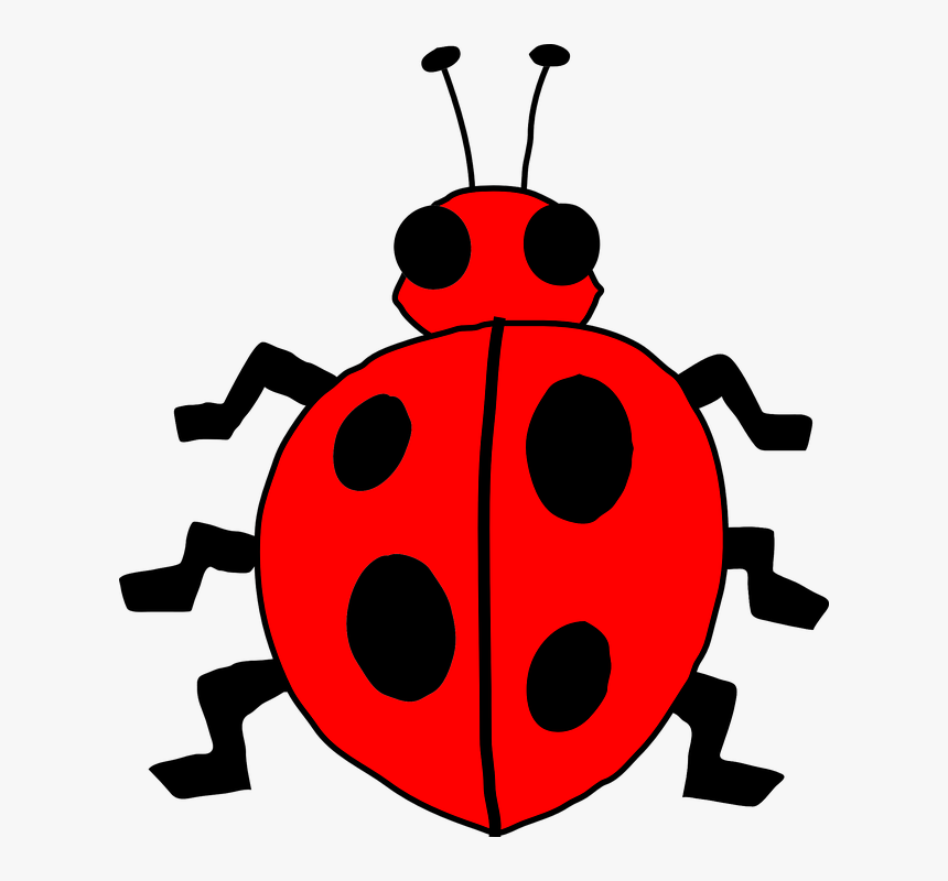 Cartoon Ladybug Svg Clip Arts - Clipart Picture Of Bug, HD Png Download, Free Download