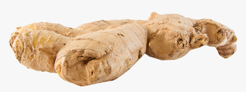 Ginger Png Hd, Transparent Png, Free Download