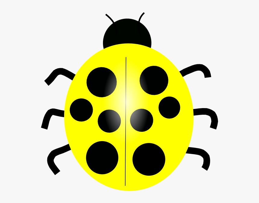 Transparent Bug Clip Art - Different Colored Ladybugs Clipart, HD Png Download, Free Download