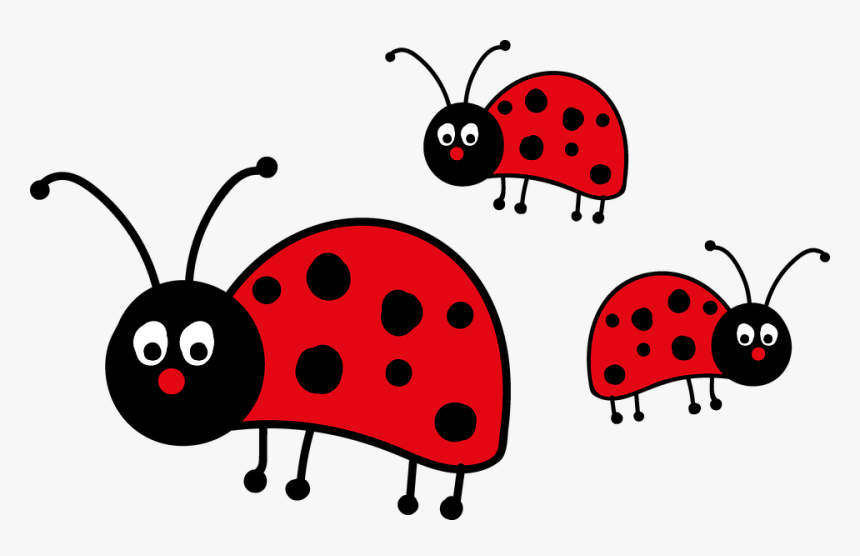 Ladybug, Lucky Charm, Luck, Beetle, Nature, Crawl - Ladybird Beetle, HD Png Download, Free Download