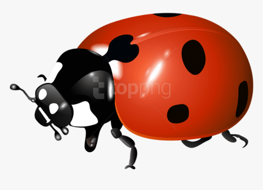 Ladybug - Ladybug Transparent, HD Png Download, Free Download