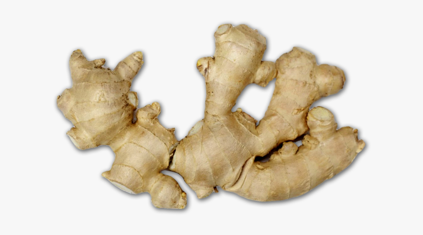 Ginger Png - Ginger, Transparent Png, Free Download