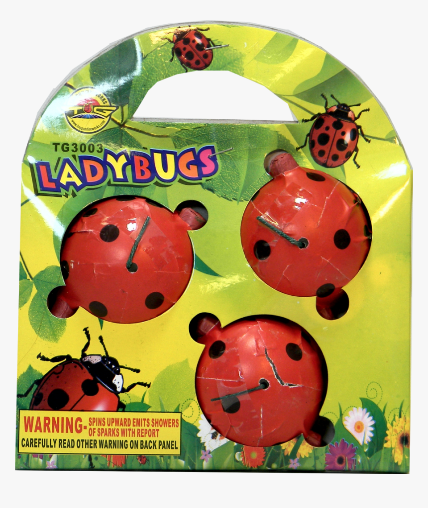 Ladybug, HD Png Download, Free Download
