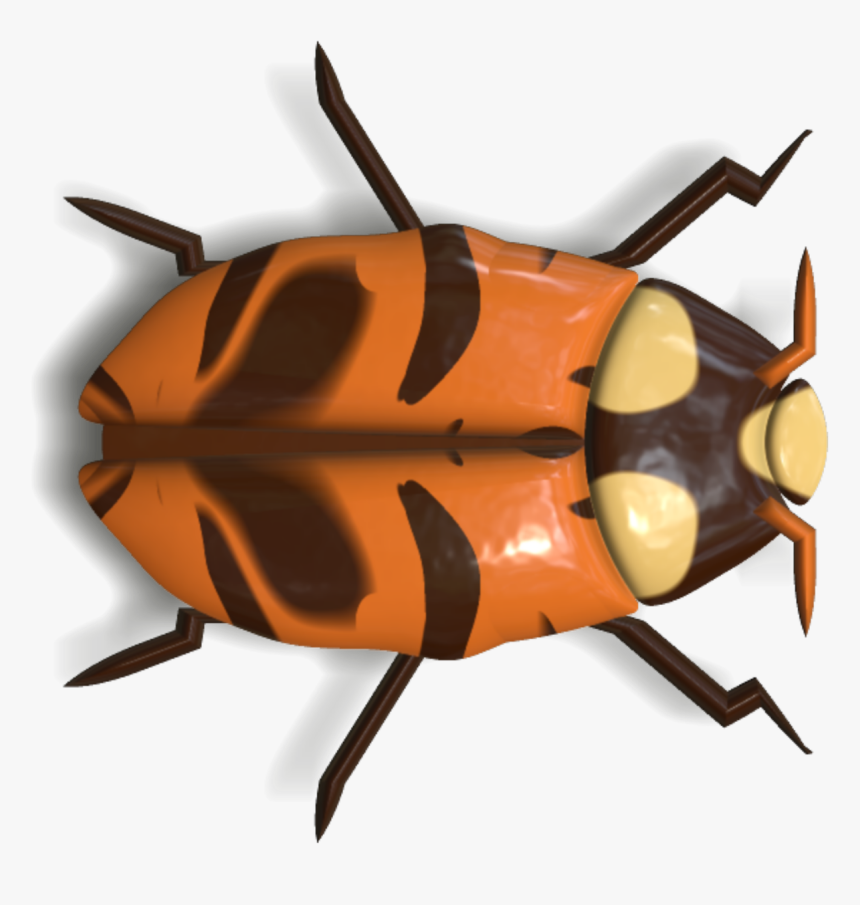 Ladybug Insect Animal Free Picture - Insectos Png, Transparent Png, Free Download