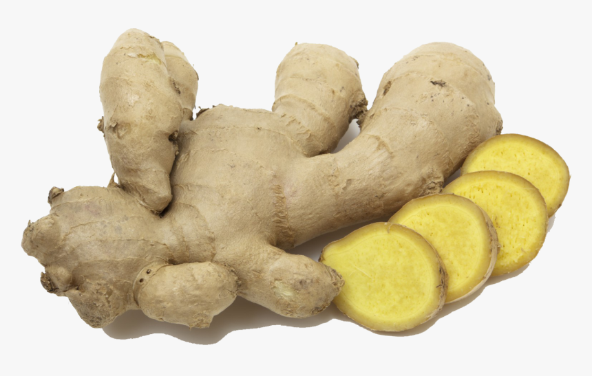 Ginger Transparent Png Image - Ginger Medicinal Plants, Png Download, Free Download