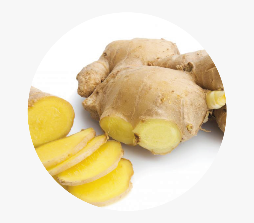Ginger, HD Png Download, Free Download