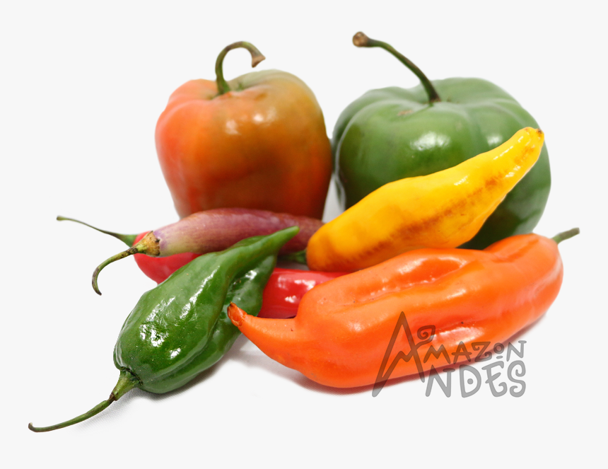 Habanero Chili - Ajies Peruanos, HD Png Download, Free Download