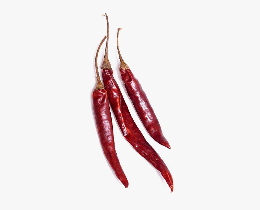 Chile De Arbol Png, Transparent Png, Free Download