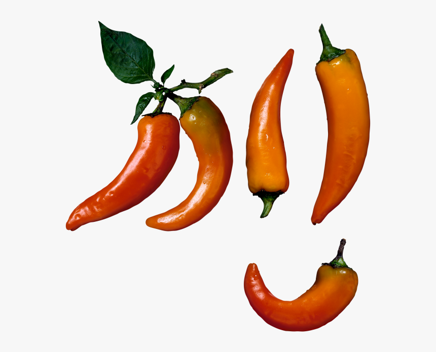 Download High Resolution - Chili Pepper, HD Png Download, Free Download