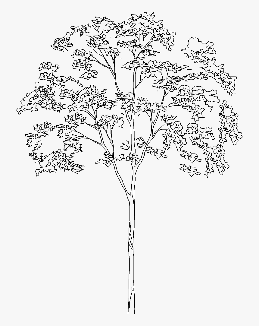 Tree 5393d View"
 Class="mw 100 Mh 100 Pol Align Vertical - Architecture Tree Drawing Png, Transparent Png, Free Download