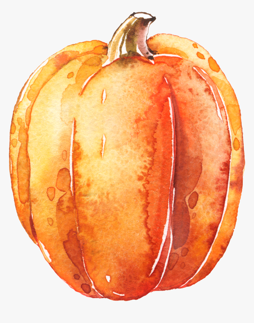 Watercolor Pumpkins Png - Transparent Background Pumpkin Clipart, Png Download, Free Download