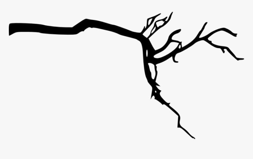 Tree Branch Silhouette Png - Tree Branch Transparent Background, Png Download, Free Download