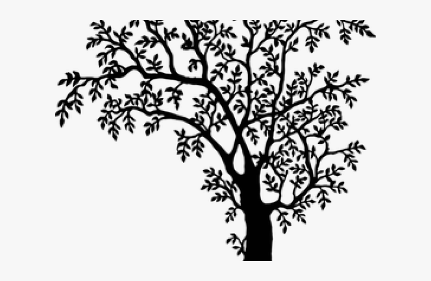 Tree Line Art - Tree Black And White Png, Transparent Png, Free Download