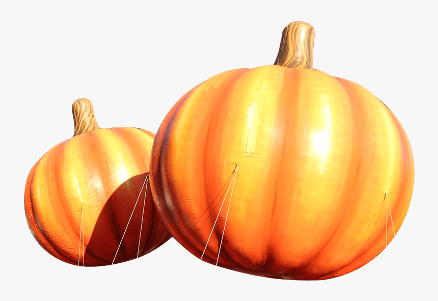 90 Parades And Counting - Pumpkin, HD Png Download, Free Download