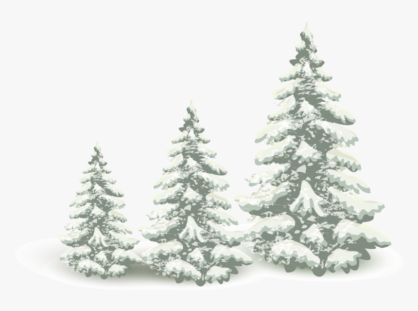 Falling Snow Pine Tree Png Download - Winter Pine Tree Png, Transparent Png, Free Download