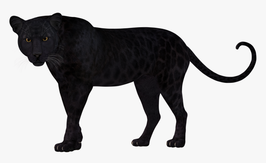Panther Leopard Lion Felidae Cheetah - Leopard Clipart Silhouette, HD Png Download, Free Download
