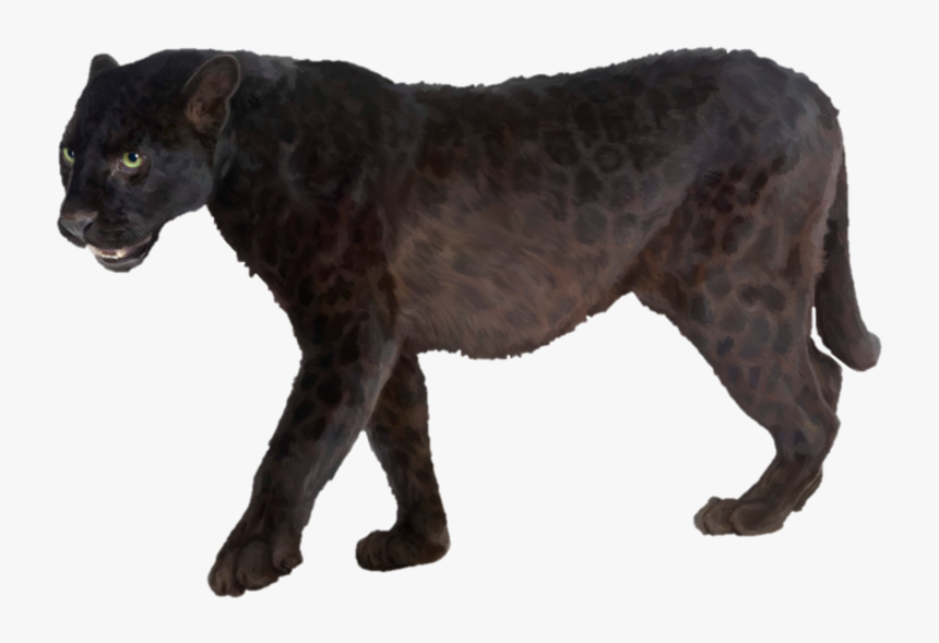 Panther Png Transparent Picture - Animal Sounds Photos And Info, Png Download, Free Download