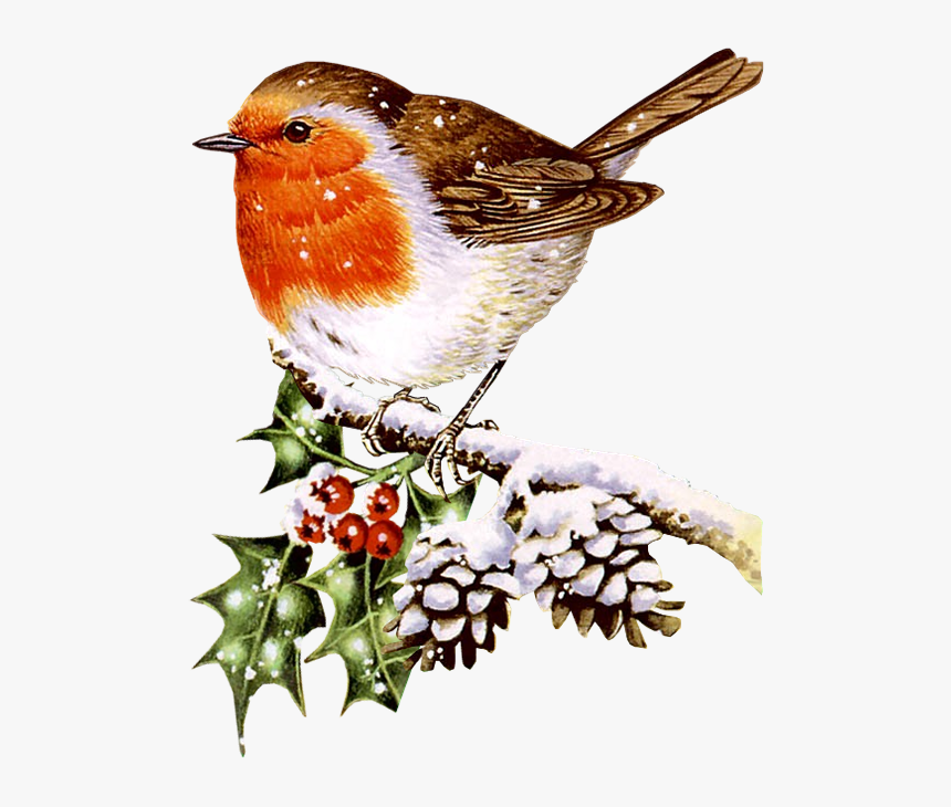 Fugle Png Klik For - Birds In Winter Clip Art, Transparent Png, Free Download