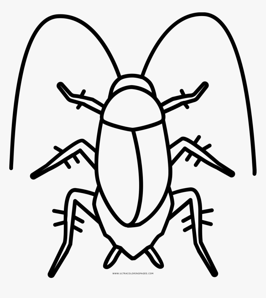 Ipis Black And White Clipart Png Transparent Png , - Cockroach Clipart Black And White, Png Download, Free Download