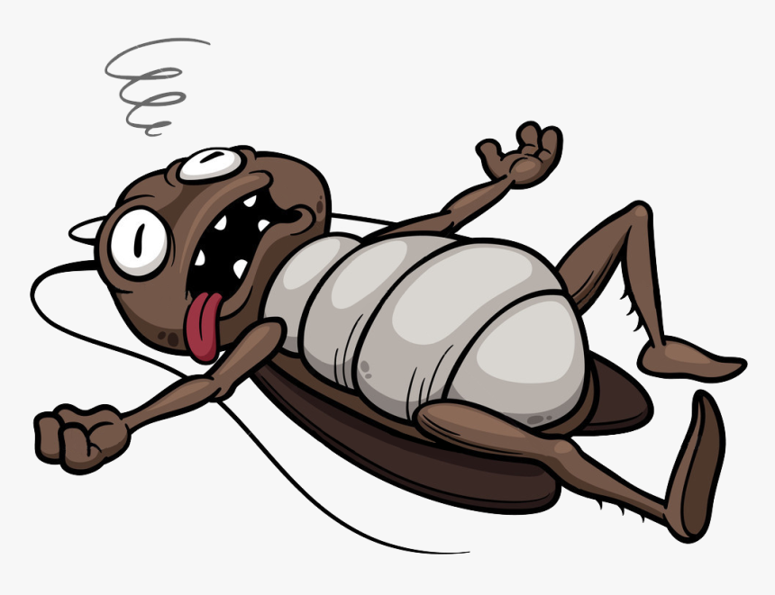 Transparent Cockroach Png - Dead Cockroach Cartoon, Png Download, Free Download