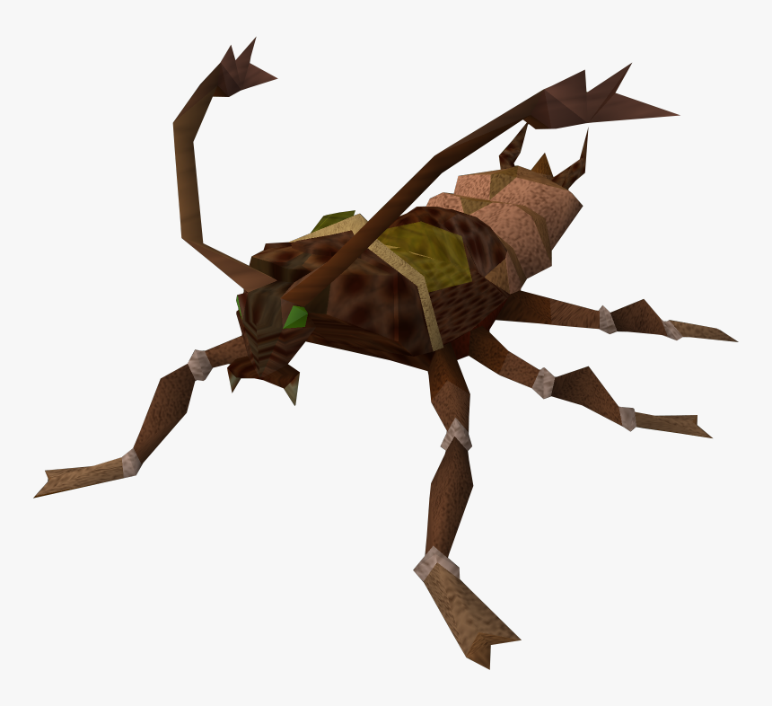 Cockroach Runescape, HD Png Download, Free Download