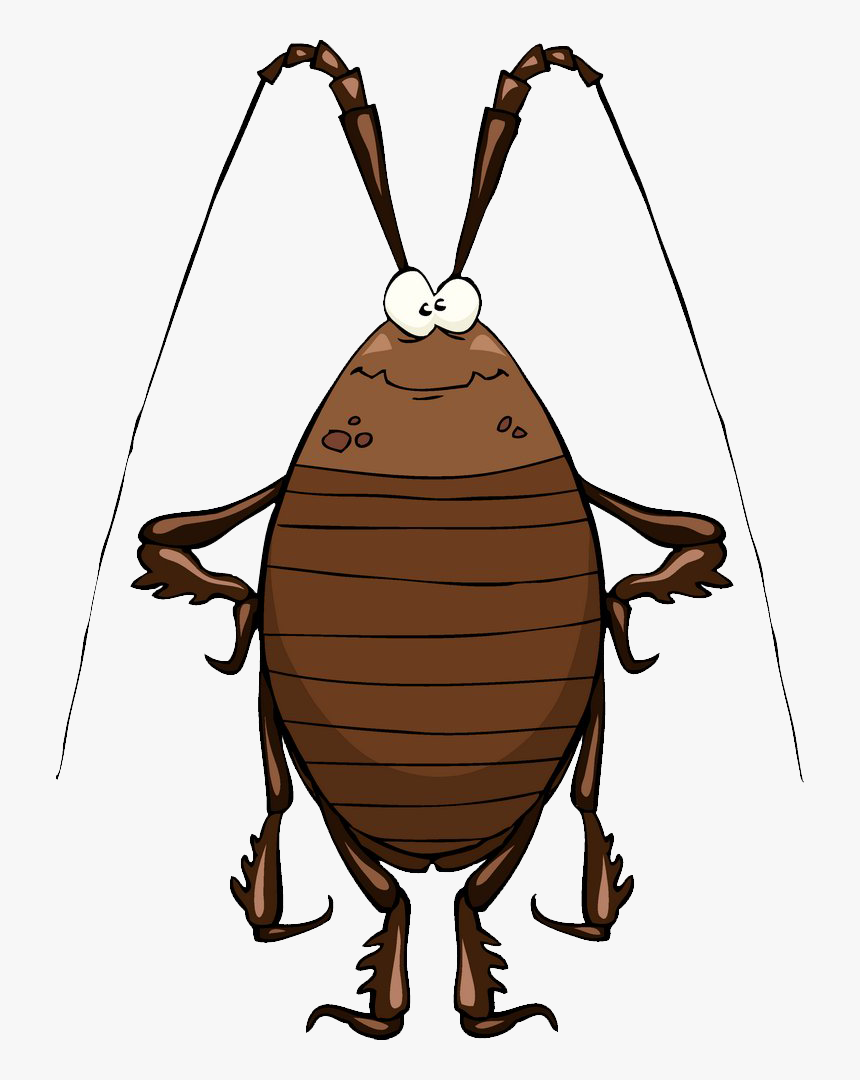 Transparent Cockroach Png - Cockroach Cartoon, Png Download, Free Download