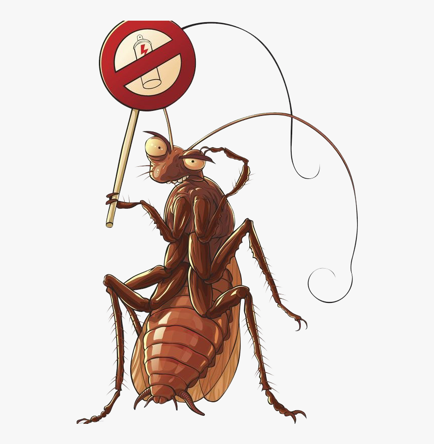 American Cockroach Png High-quality Image - Cockroach Character, Transparent Png, Free Download